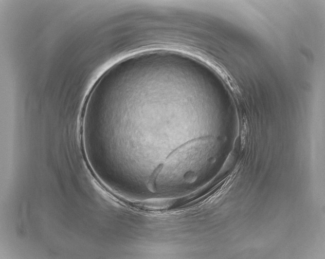 X0000116491535200912091411