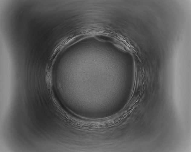 X0000116490002200912161328