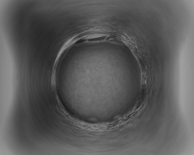 X0000116490004200912161328