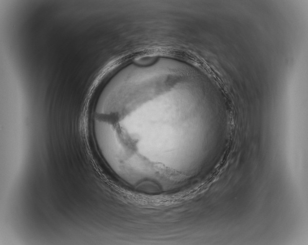 X0000116490006200912161328