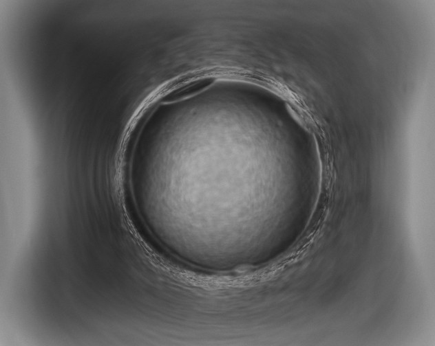 X0000116490007200912161328