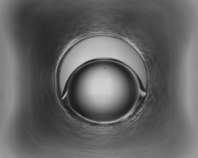 X0000116490008200912161328