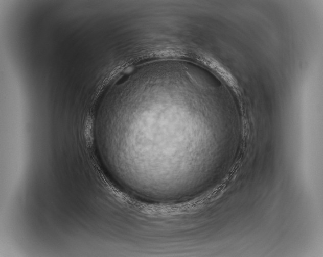 X0000116490009200912161328