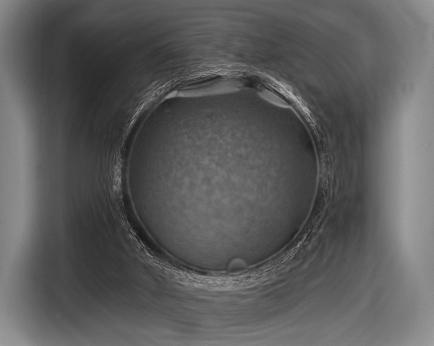 X0000116490010200912161328