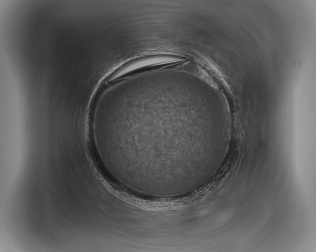 X0000116490012200912161328