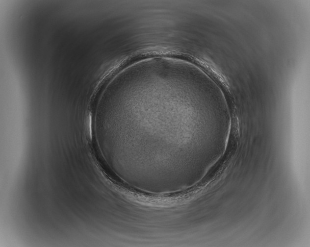 X0000116490014200912161328