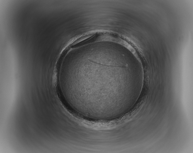 X0000116490016200912161328