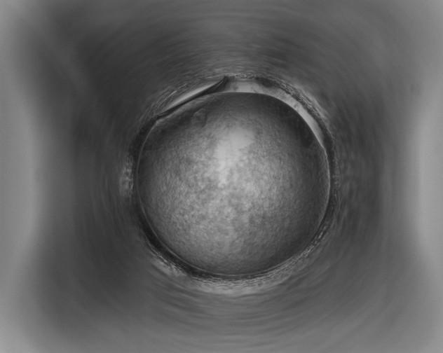 X0000116490017200912161328