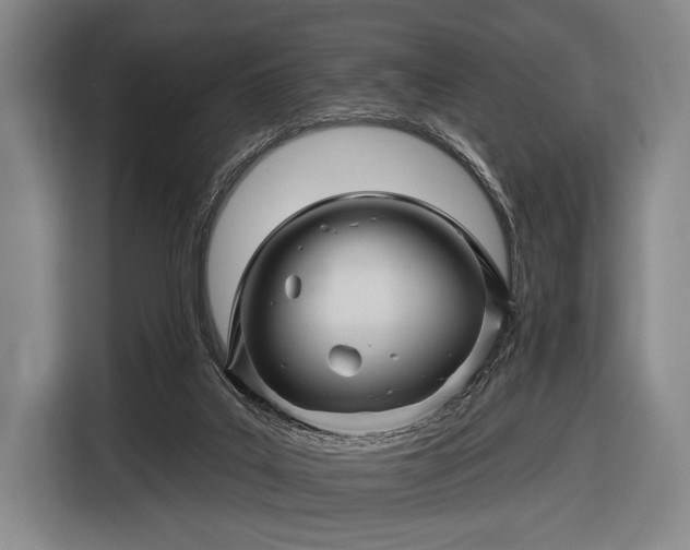 X0000116490019200912161328