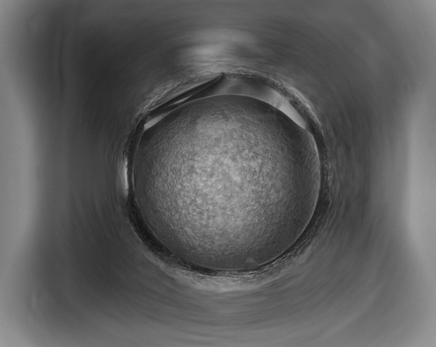 X0000116490020200912161328