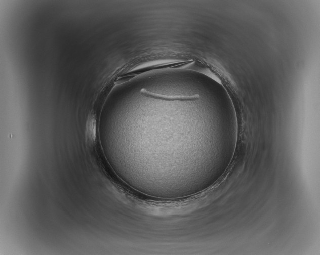 X0000116490021200912161328