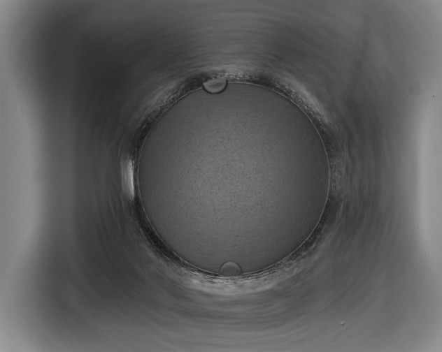 X0000116490022200912161328