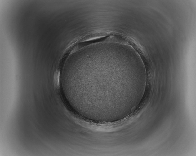 X0000116490024200912161328