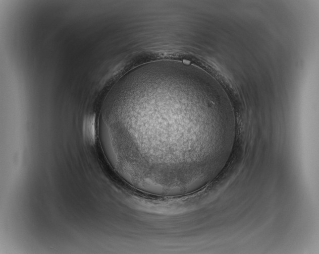 X0000116490028200912161327