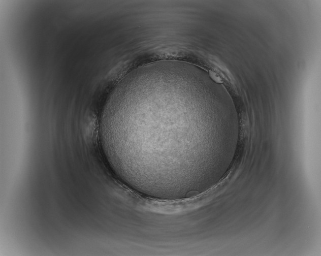 X0000116490029200912161327