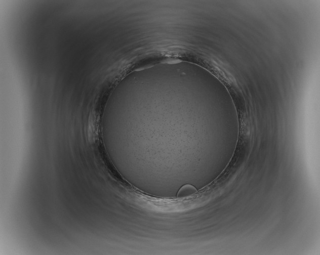 X0000116490030200912161327