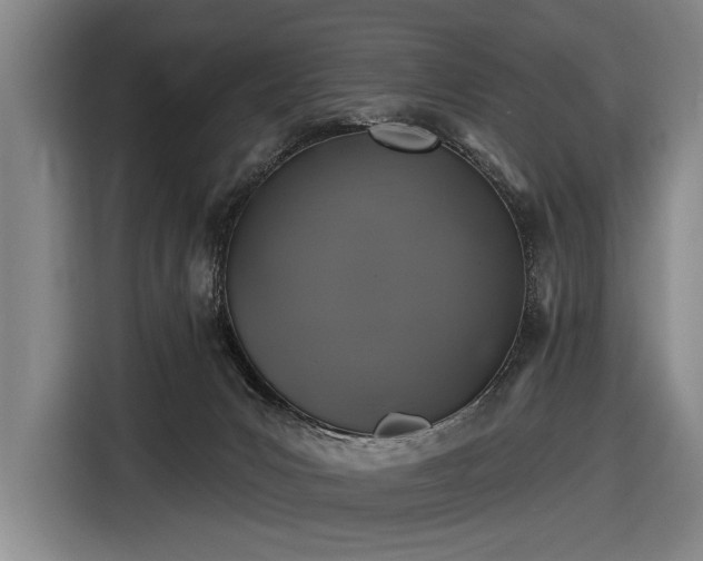 X0000116490031200912161327