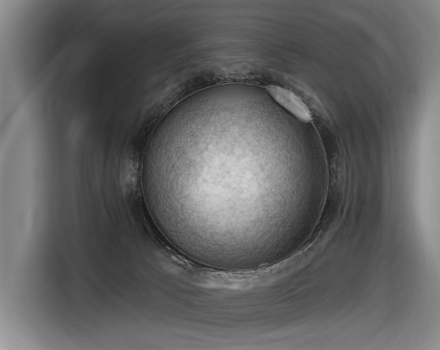 X0000116490033200912161327