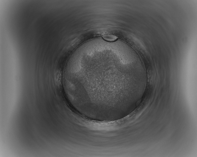 X0000116490036200912161327