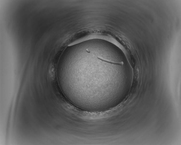 X0000116490037200912161327