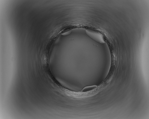 X0000116490039200912161327