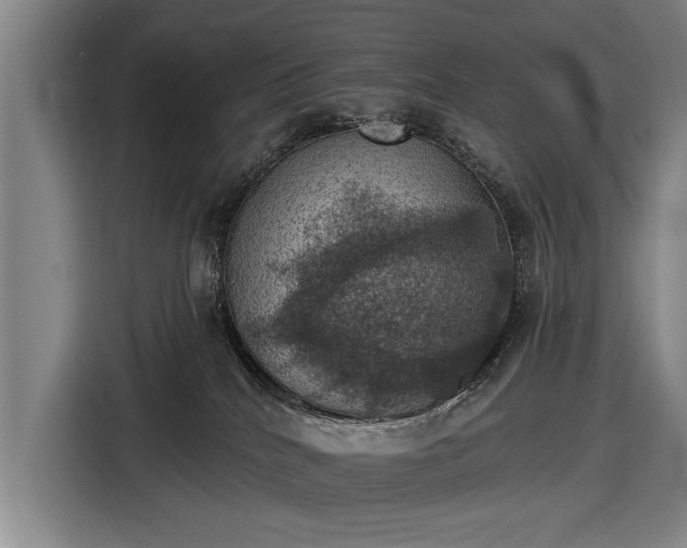 X0000116490040200912161327