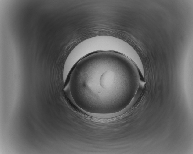 X0000116490043200912161327