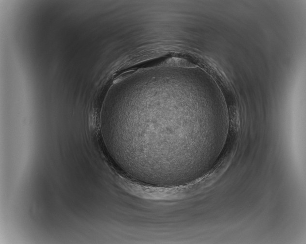 X0000116490044200912161327