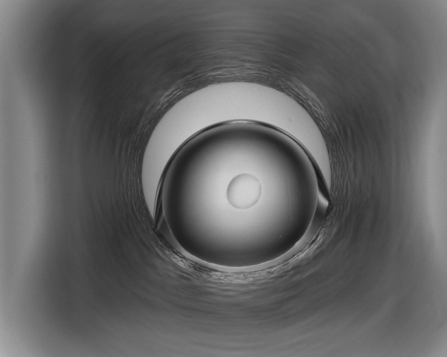 X0000116490045200912161327