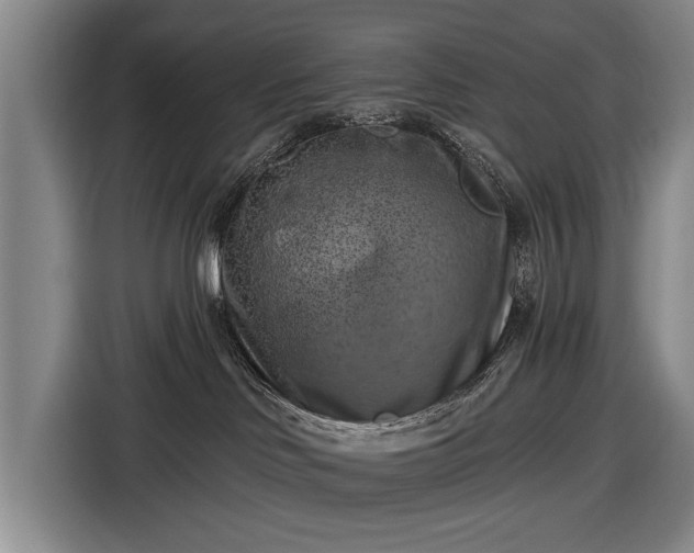 X0000116490046200912161327