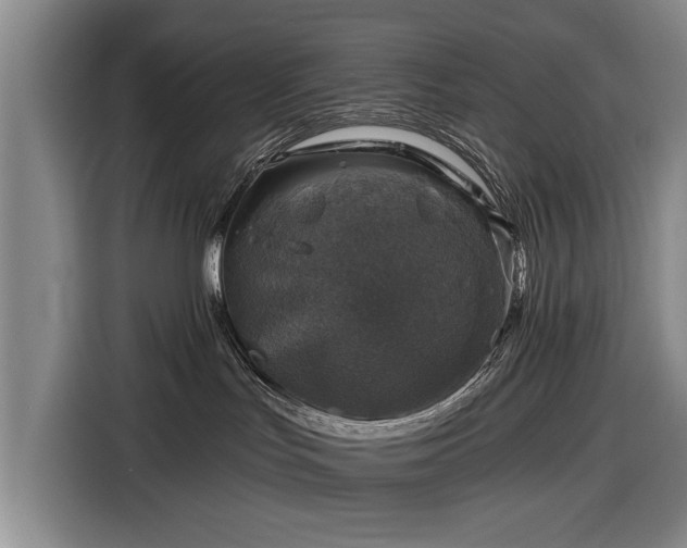 X0000116490047200912161327