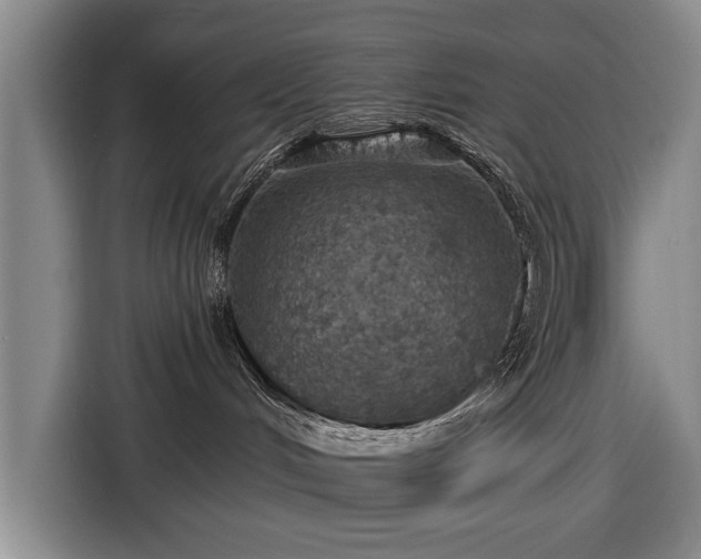 X0000116490048200912161327