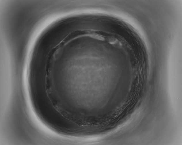 X0000116490050200912161327