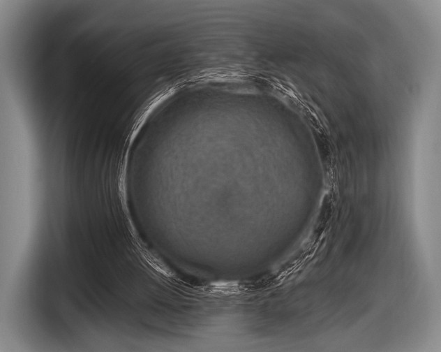 X0000116490052200912161327