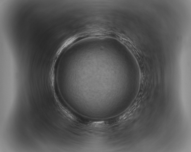 X0000116490054200912161327