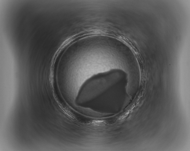 X0000116490055200912161327