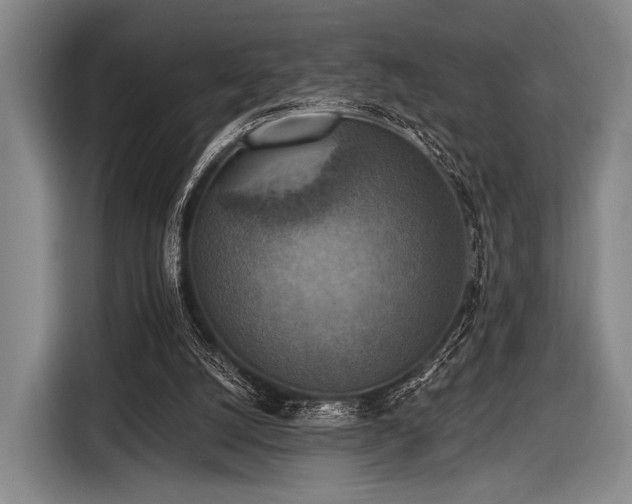 X0000116490056200912161327