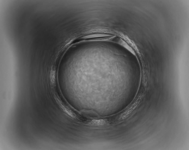 X0000116490057200912161327