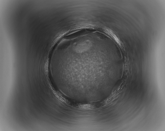 X0000116490058200912161327