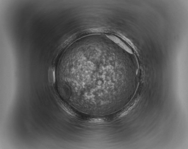 X0000116490061200912161327