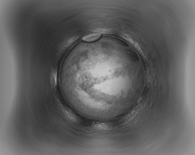 X0000116490062200912161327