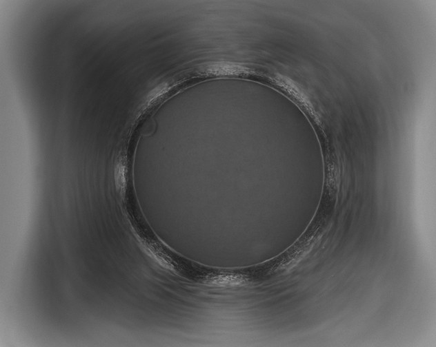 X0000116490063200912161327