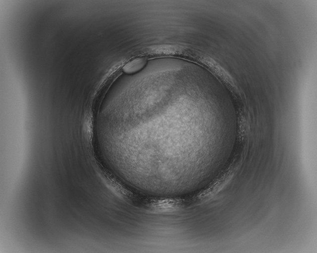 X0000116490064200912161327