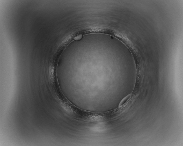 X0000116490066200912161327