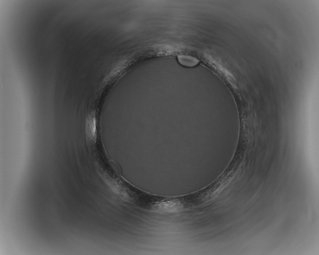 X0000116490067200912161327