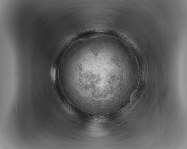 X0000116490070200912161327