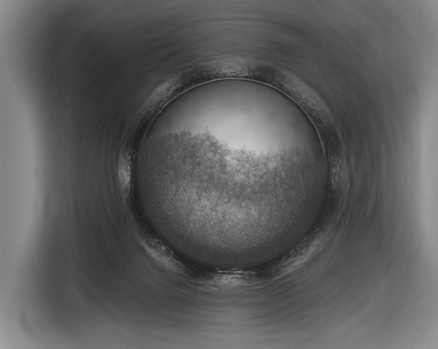 X0000116490072200912161327