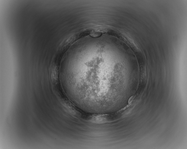 X0000116490078200912161327