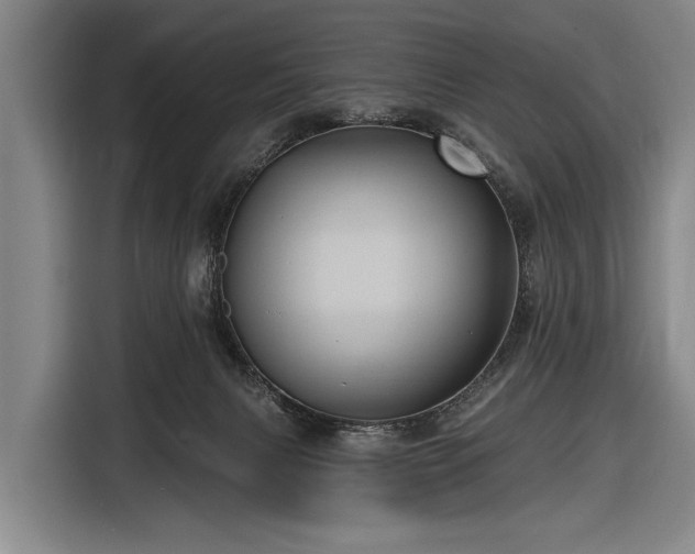 X0000116490079200912161327