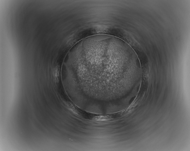 X0000116490082200912161327